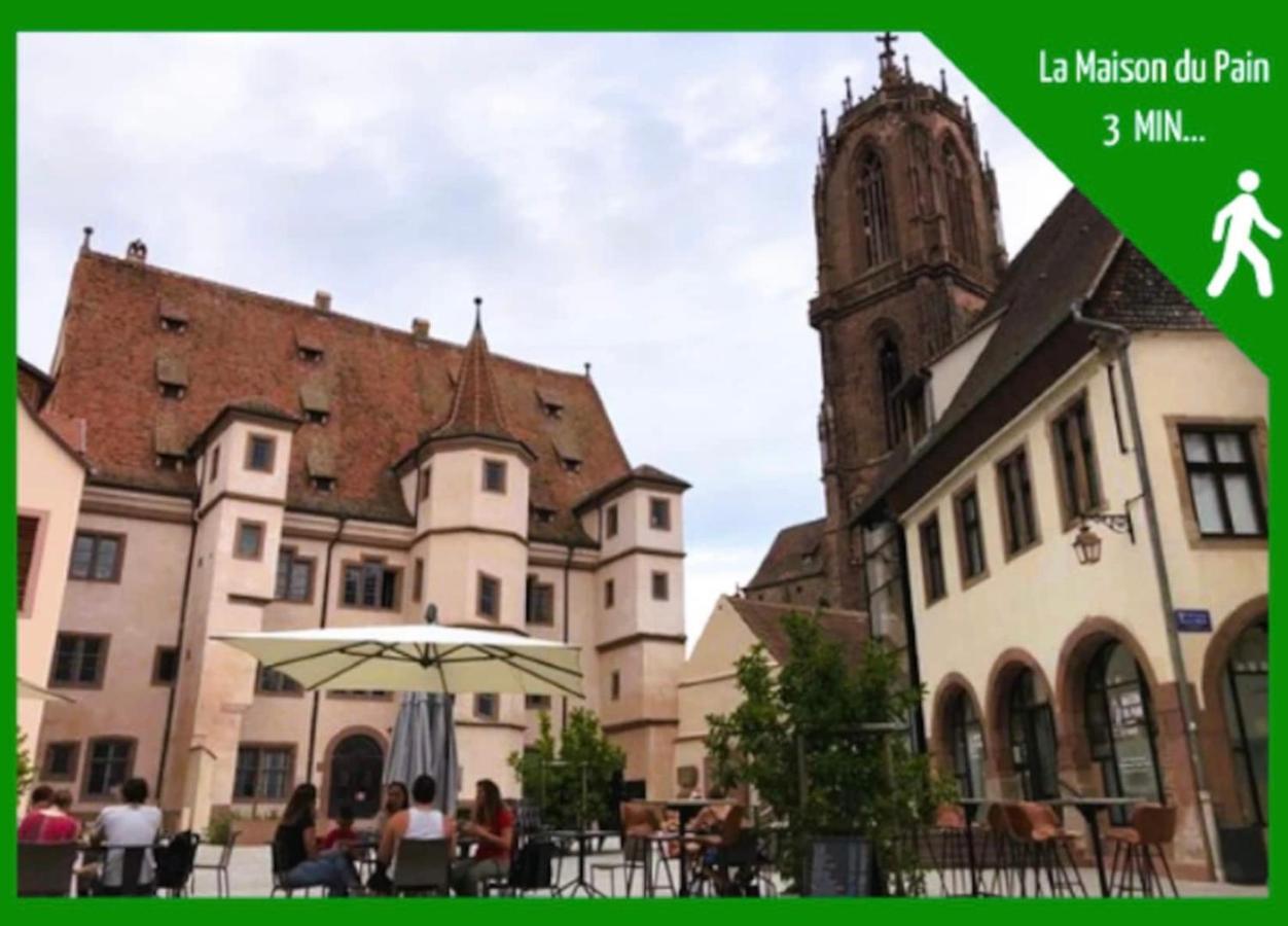 La Parenthese Alsacienne Au Coeur De Selestat Apartman Kültér fotó